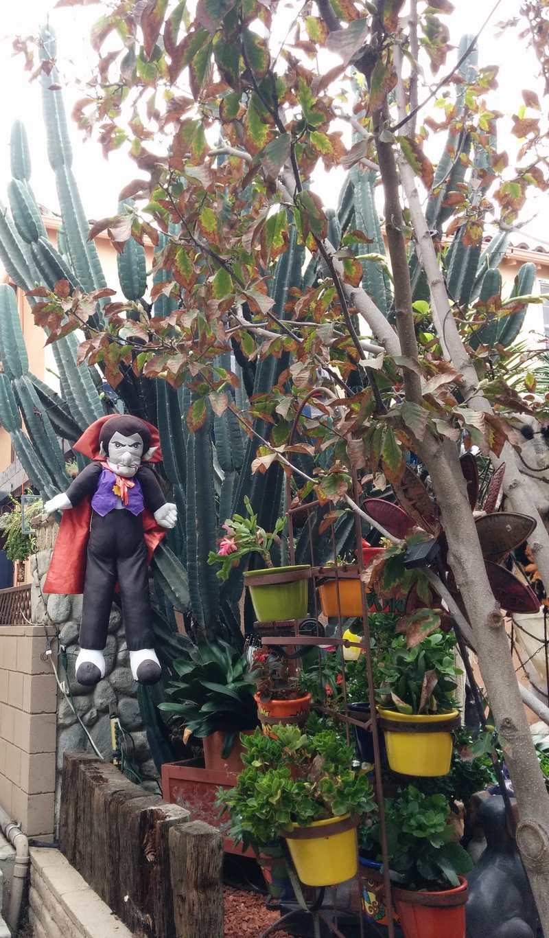 Illustration for article titled Halloween Decorations